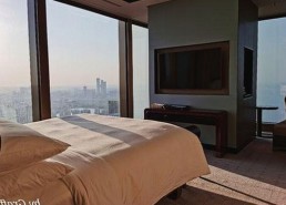 鲁啊鲁官方版下载：探索合肥市热门资源与最新版本