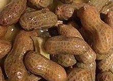 免费黄色最新版下载：最新资源与安全指南分析