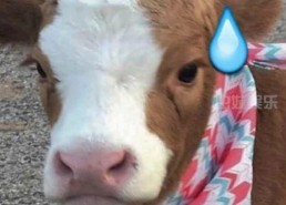 从网络到现实：🔞🍌进🍑里❌❌❌面最新版下载带来的变革