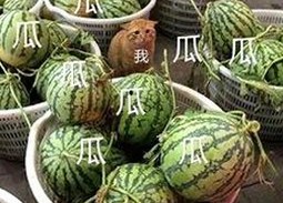 鲁啊鲁最新版下载：最新版本介绍与相关资源指南