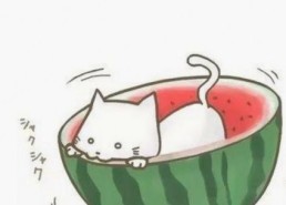 香蕉视频最新版下载：最新版本分析与资源推荐