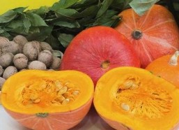 刘宇宁带你畅享《鲁鲁影院电视剧免费观看最新章节免费版下载》