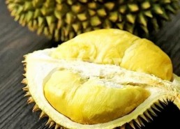 免费调色60分钟视频最新版下载：获取高清调色教程的最佳选择