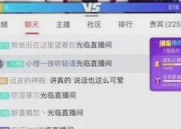 《乱公伦媳》欧美免费官方版：深入解析其内容与现象