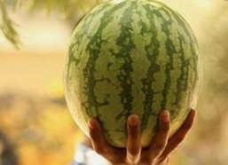 17.c.now,起草最新版带来最新动态与改进措施