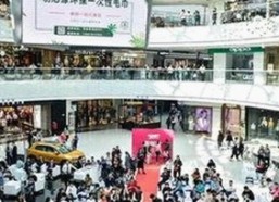 最新免费91官方版下载指南：畅享高清娱乐体验