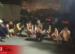 全面解析91免费版官方版：最新版本推荐与使用指南