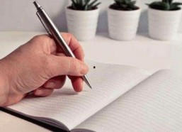 了解91n官方版：全面解析其优势与最新玩法