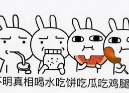 人or狗dna与猪ordna的配合与防治官方版下载：最新研究与应用