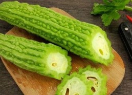 最新动态：91免费最新版下载带来丰富的娱乐内容体验