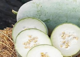 最新解析：51吃瓜网免费版现状及其影响力