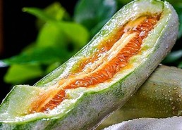 轻松获取菠萝TV免费版下载，畅享高清内容新体验