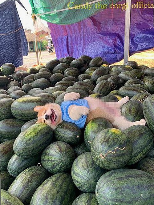 探秘商学院：学习背后那些你不知道的精彩内容