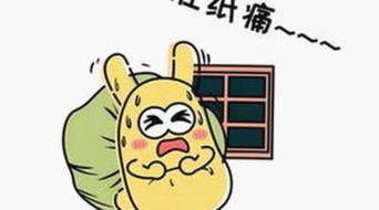 探索豆花视频官方版：最新内容与现状分析