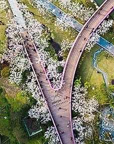 南平市用户体验：妺妺用🐻夹我的🍌网站91官方版下载新体验揭秘