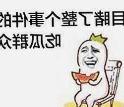 全面解析www91官方版正版下载：安全、稳定的选择