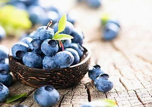 外网le拉子炒菜教程网站视频百度绿色版：最新使用指南与资源推荐