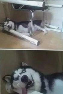 最新A片资讯：涉及91禁🍆🍑🔞❌❌❌看片17cco最新版下载的热点内容