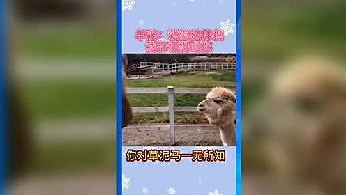 探索91免费免费版：通化市用户的在线观看新体验