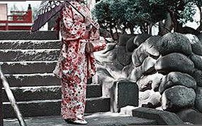 黄色软件下载官方版下载免费版：最新资源汇总与使用指南