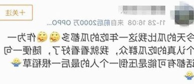 9.1免费视频免费版官方版下载：最新版本介绍与资源推荐