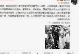 黑料吃瓜免费版下载：掌握最新娱乐资讯的便捷途径