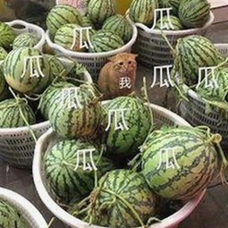 追踪明星幕后故事： 免费观看45分钟高清电视动漫官方版带你一探究竟