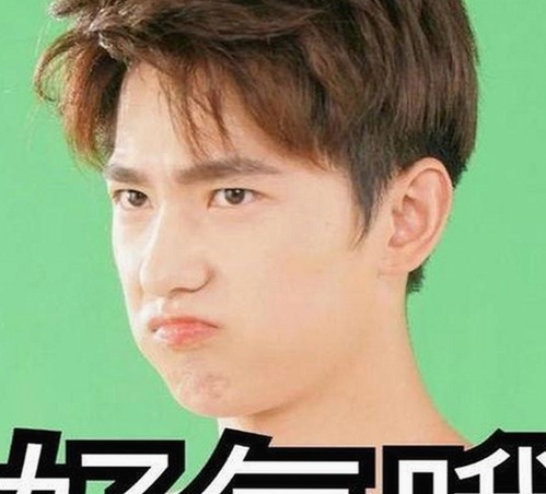 鄂尔多斯市用户体验升级：蘑菇视频官方版带来的全新娱乐享受