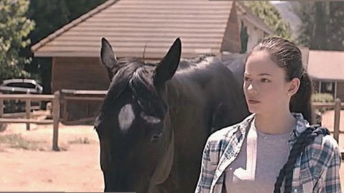 糖心破解版官方版下载：最新版本介绍与下载指南