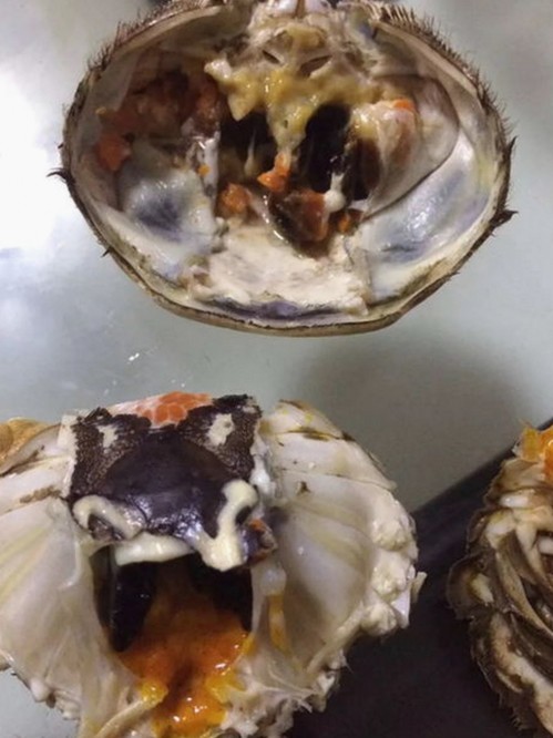 全面解析www.91免费版：从免费调色到爱爱网官方版的多重体验