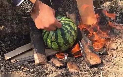 刘宇宁推荐：免费看mv大片的app安装包下载指南