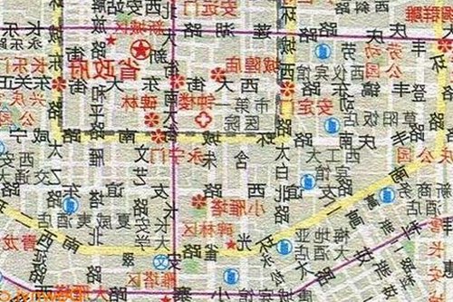 91秀安卓版最新版本上线，丰富内容尽在其中
