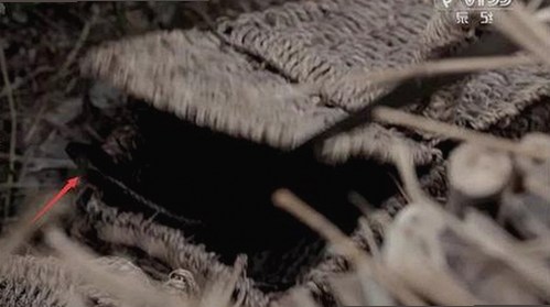 探索商学院发展现状与在线资源的应用