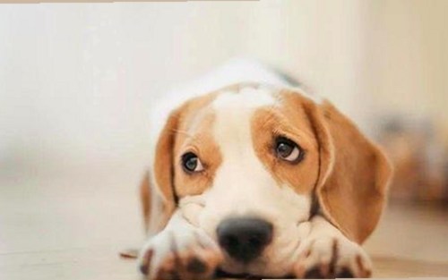 揭秘南平市网络热点：91禁🍆🍑🔞❌❌❌看片免费版官方版的精彩内容