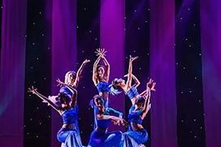 蘑菇视频官方版：最新版本介绍与安全指南