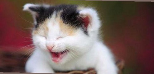 18馃埐：探索无锡市娱乐圈新动向与热门资源