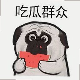 如何安全下载并使用51吃瓜网最新版下载？详细指南解析