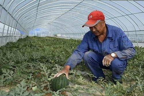 男🍌❌女🍑摸🐻水流是：最新内容解析与行业动态