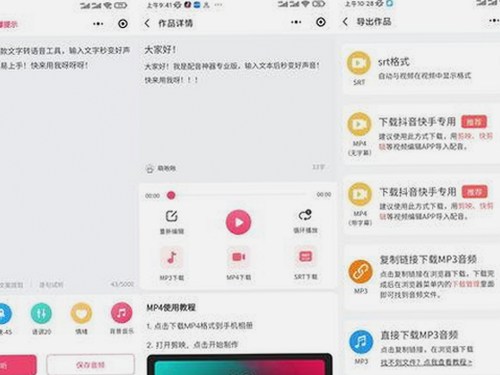 深入了解SP责打实践过程视频：背后故事与最新资源分享