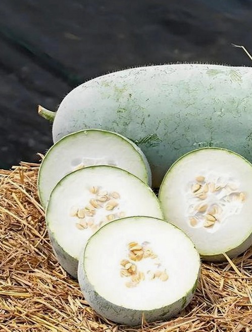 最新解析：51吃瓜网免费版现状及其影响力