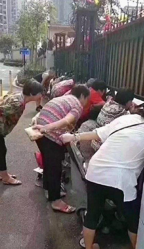 全面解析：如何安全高效地进行91网站免费版下载