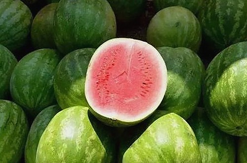 刘宇宁体验爱液官方官方版带来的新感受