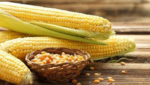 《乱公伦媳》免费免费版官方版：最新观看资源解析