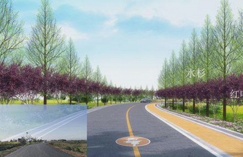 最新揭秘：菠萝TV免费版带你畅享高清影视体验