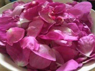 探索西瓜视频免费免费版下载的最新动态与热门资源