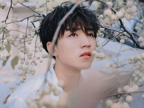 黄色91官方版：娱乐圈的幕后真相与新体验