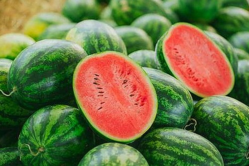 最新发现：黄色软件下载免费版助你畅享海量内容