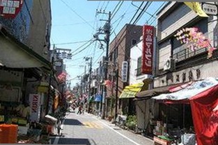 掌握最新资源：91漫画最新版下载指南