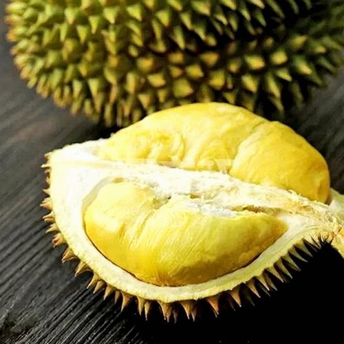 免费调色60分钟视频最新版下载：获取高清调色教程的最佳选择