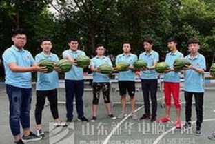 最新消息：嫩草17.c 91免费版下载引发关注，内容丰富多彩